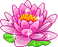 animated flower